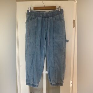 Style & Co. Denim Joggers